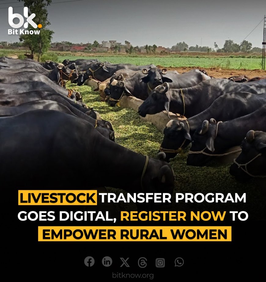 Livestock Transfer Program Goes Digital Register Now to Empower Rural Women