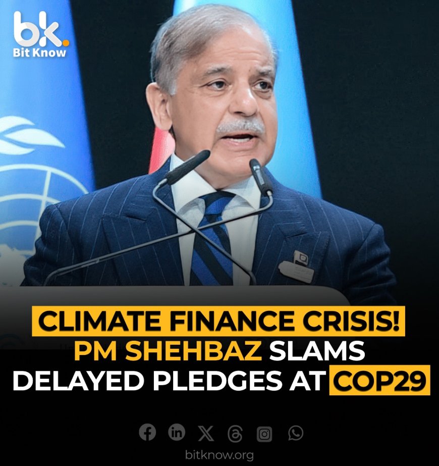 Climate Finance Crisis! PM Shehbaz Slams Delayed Pledges at COP29