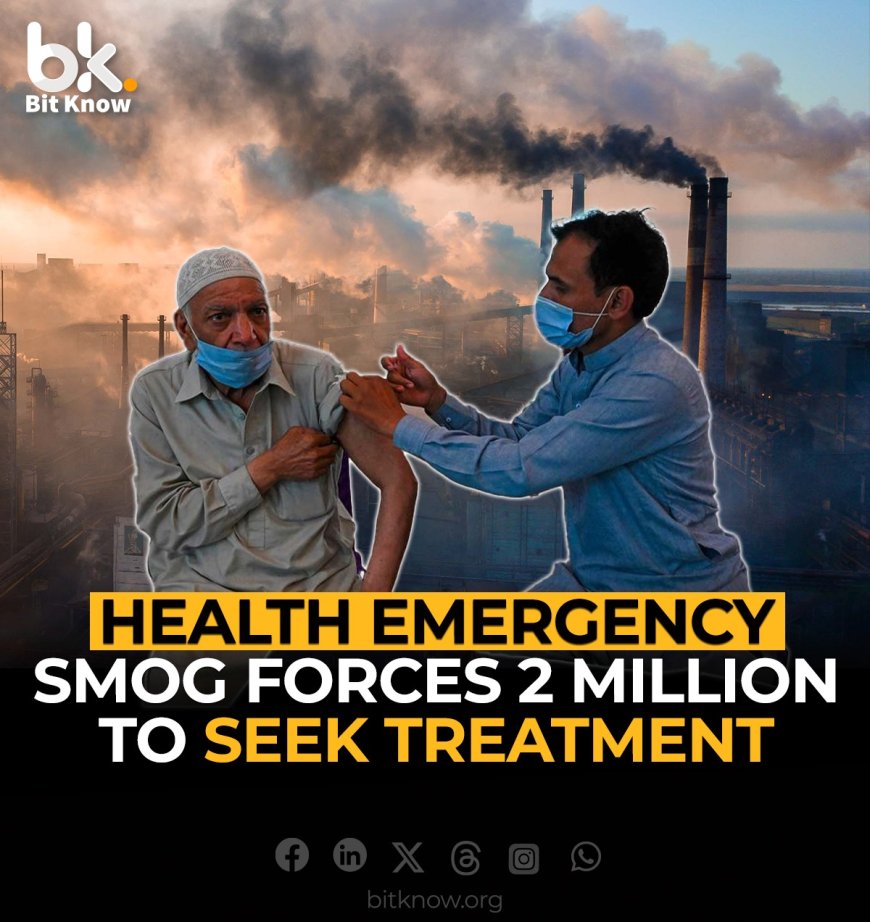 Health Emergency, Smog Forces 2 Million to Seek Treatment